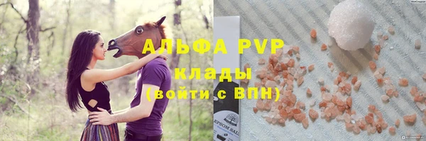 тгк Абаза