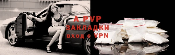 тгк Абаза