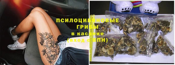 тгк Абаза