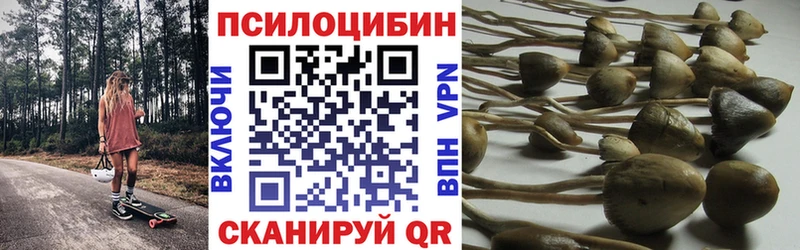 Псилоцибиновые грибы Magic Shrooms Северская