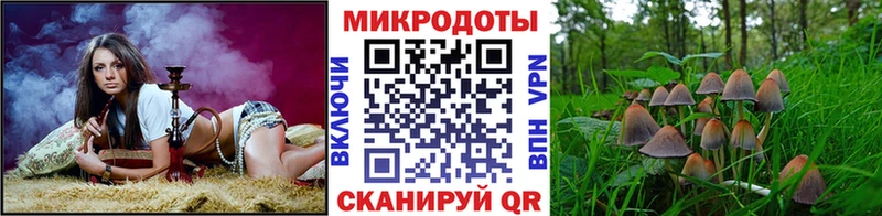 Псилоцибиновые грибы Psilocybine cubensis  Северская 